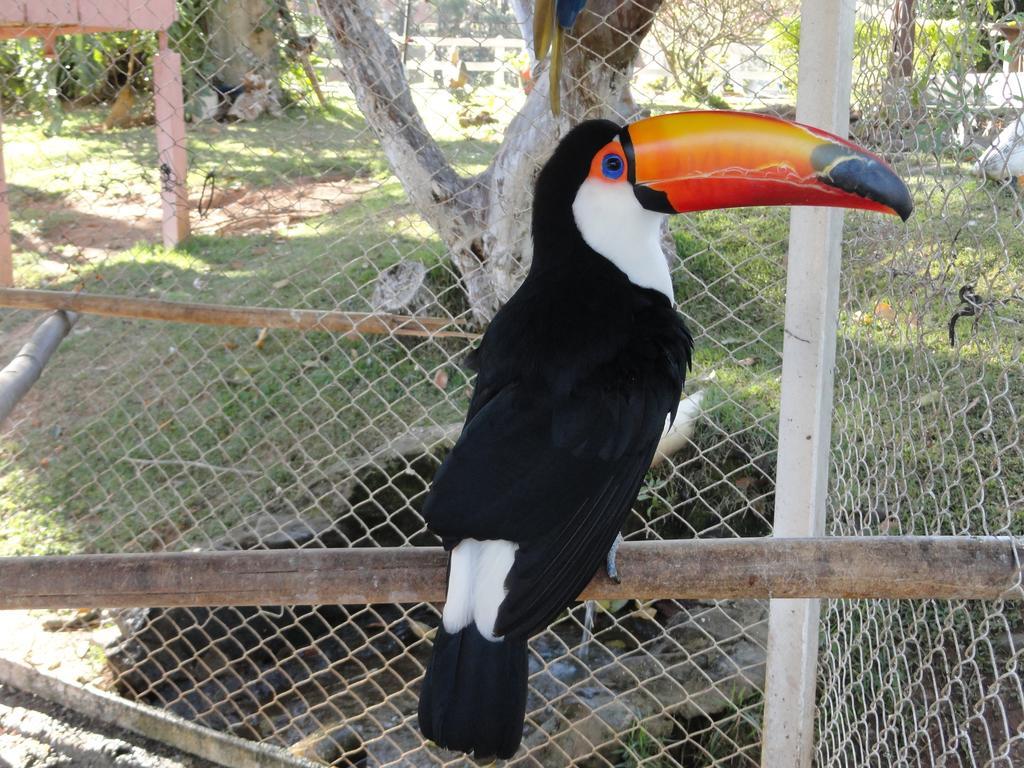 Hotel Fazenda Floresta Do Lago Socorro  Eksteriør billede